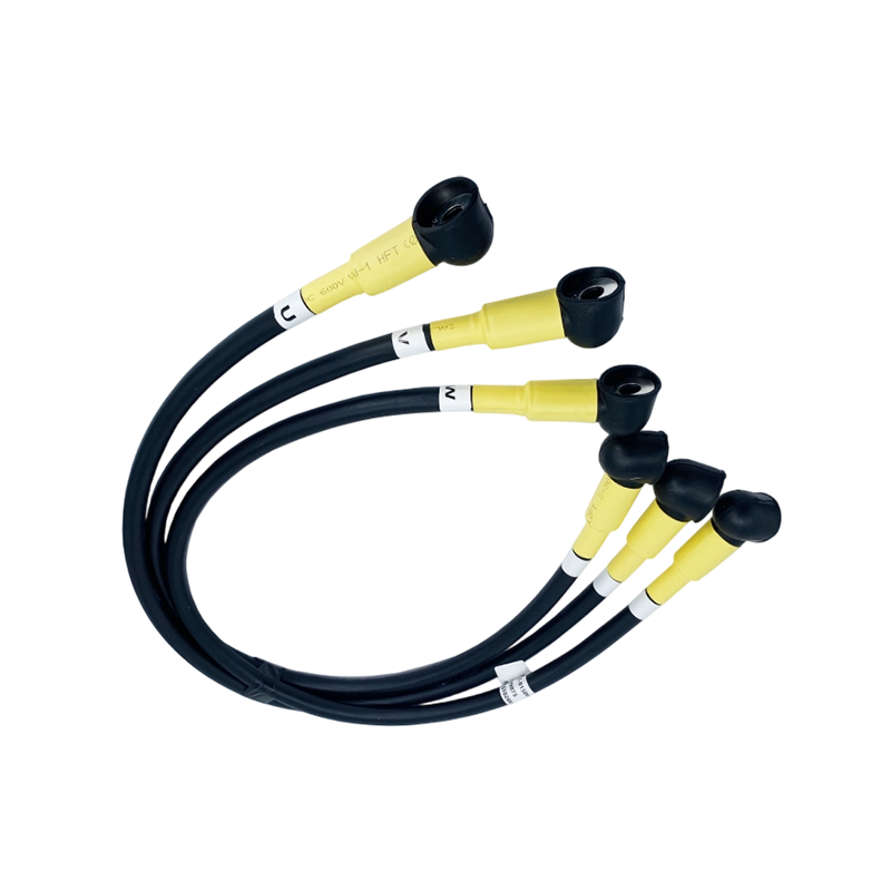 Custom Downhole Oil Bene High Temperature obsistens Oil Pump Motor Special Connection Wiring Harness