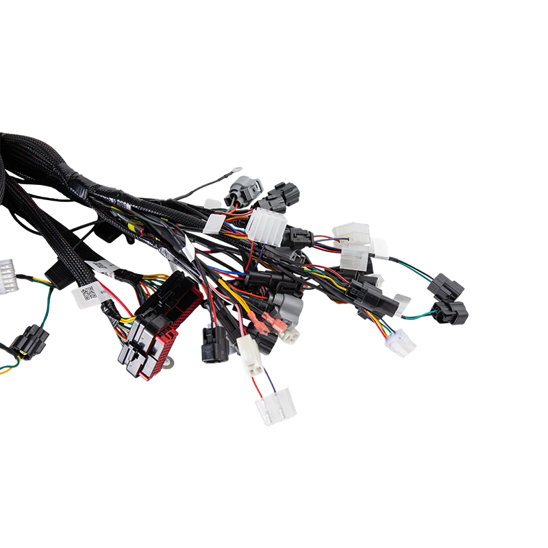 More Stand-On Rider Electric Pallet Truck Complete CAN-bus Control Wiring Harness